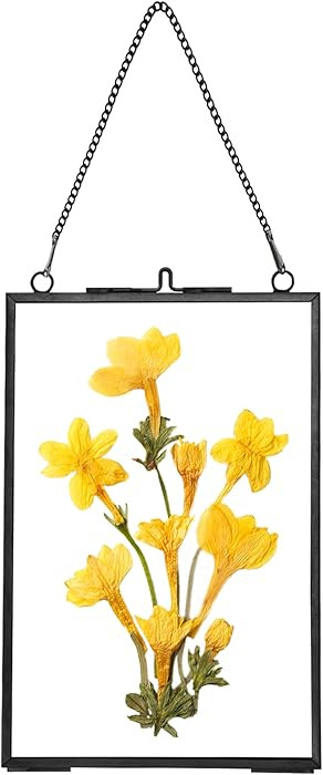 Hanging Pressed Flower Frames, Double Glass Floating Picture Frame Handmade, Glass Frame for Pres... | Amazon (US)