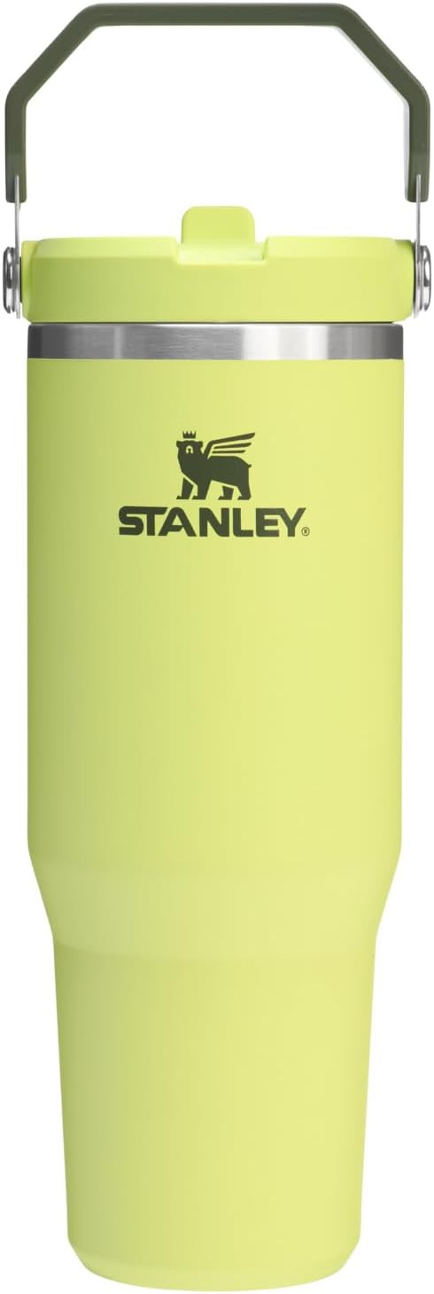 STANLEY IceFlow 2.0 Flip Straw Tumbler with Handle 30 oz | Twist On Lid and Flip Up Straw | Leakp... | Amazon (US)