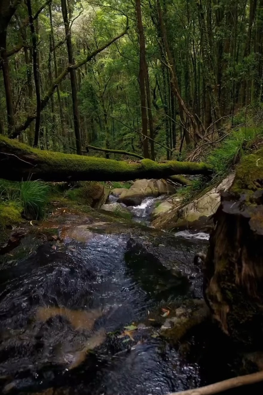 Favorite toy!!! 
Change your game with the right #drone 
I use mine so much!!

#LTKFallSale #LTKTravel #LTKVideo