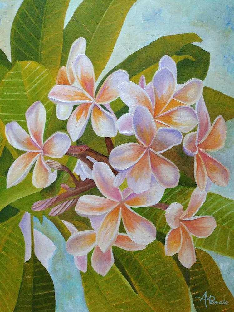 Plumeria Art Print by Angeles M Pomata | Fy