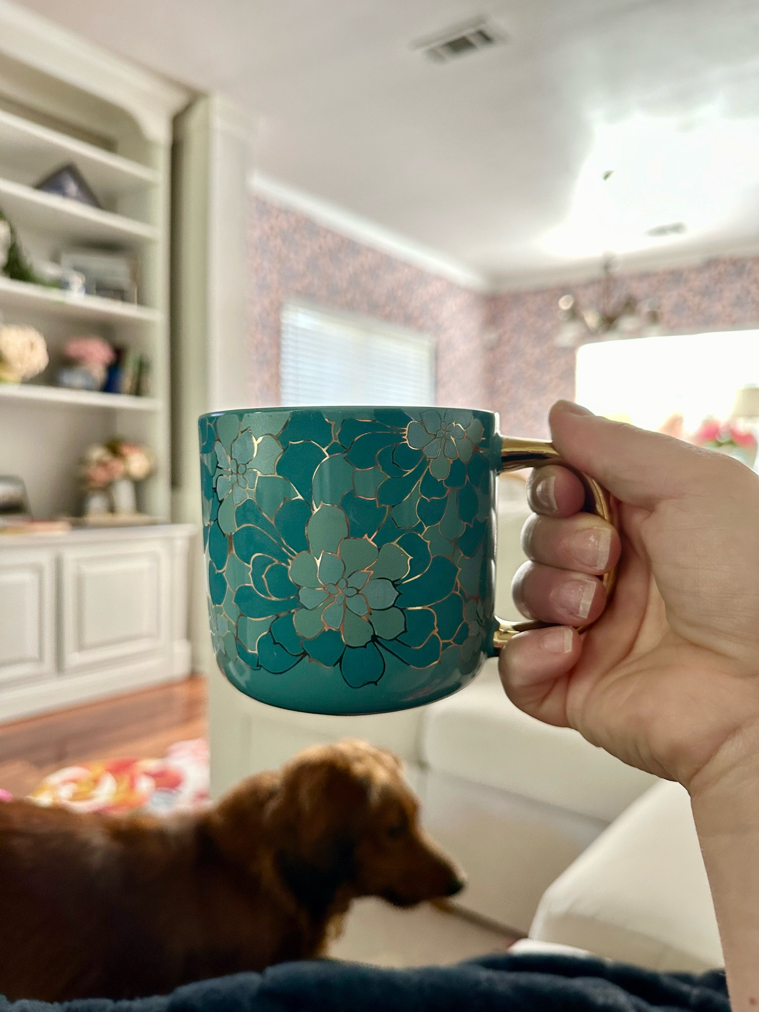 Just my favorite $5 coffee mug 🫶🏼

#LTKFindsUnder50 #LTKHome #LTKBacktoSchool