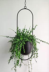 RISEON Boho Black Metal Plant Hanger,Metal Wall and Ceiling Hanging Planter, Modern Planter, Mid ... | Amazon (US)