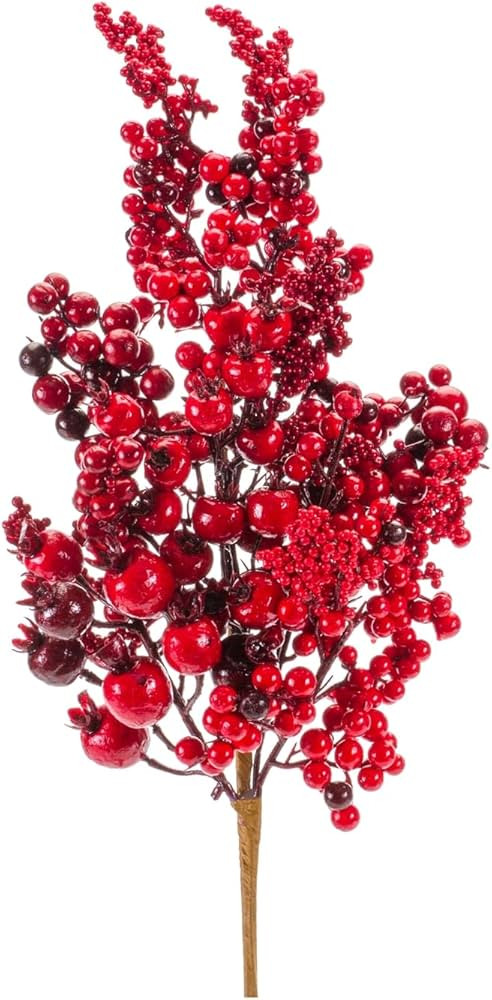 Mixed Berry Spray (Set of 6) | Amazon (US)