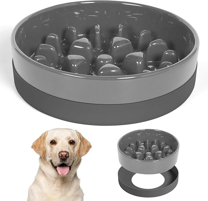 Sted Ceramic Slow Feeder Dog Bowl for Medium Large Breed, Puzzle Dog Food Bowl with Silicone Base... | Amazon (US)