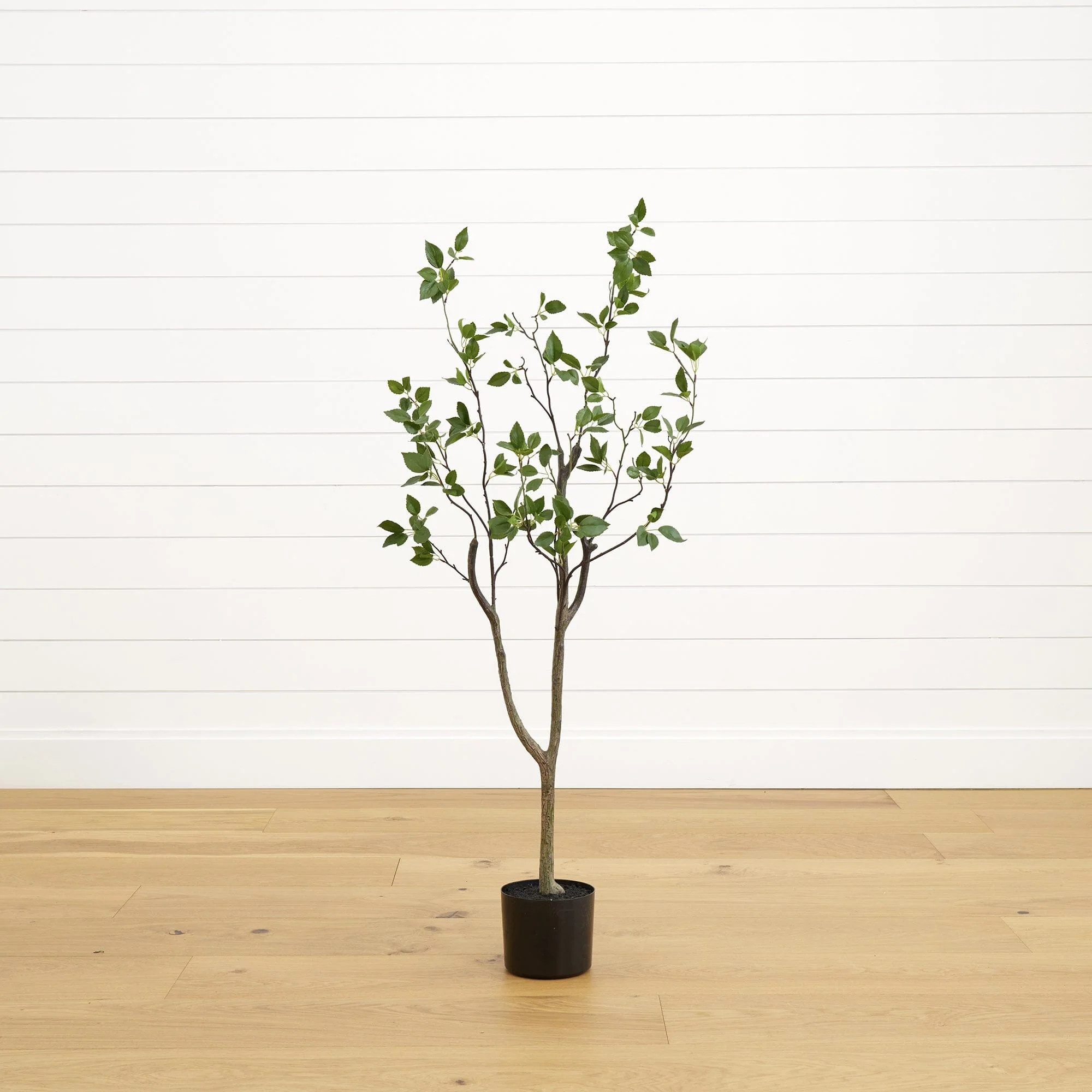 4' Minimalist Citrus Artificial Tree | Nearly Natural | Nearly Natural