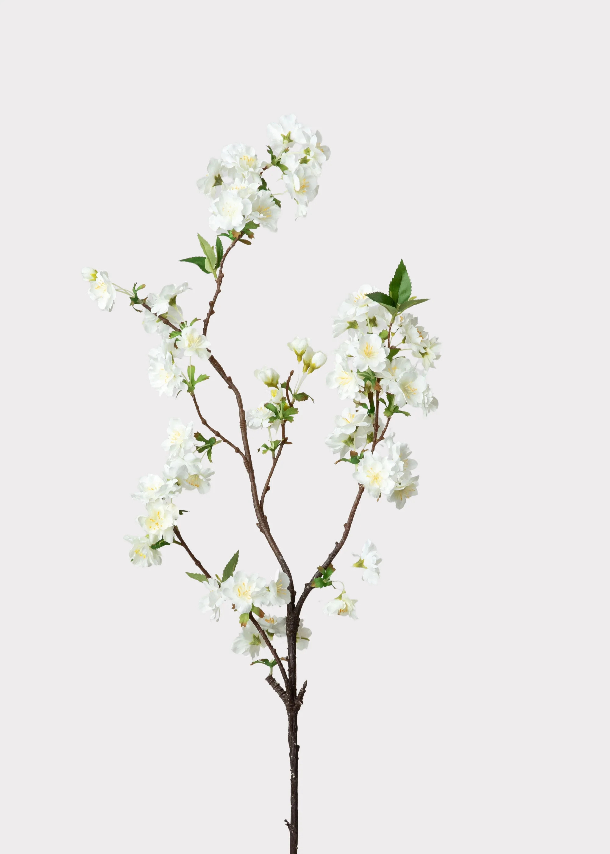 Cream White Artificial Cherry Blossom Branch - 36 | Afloral