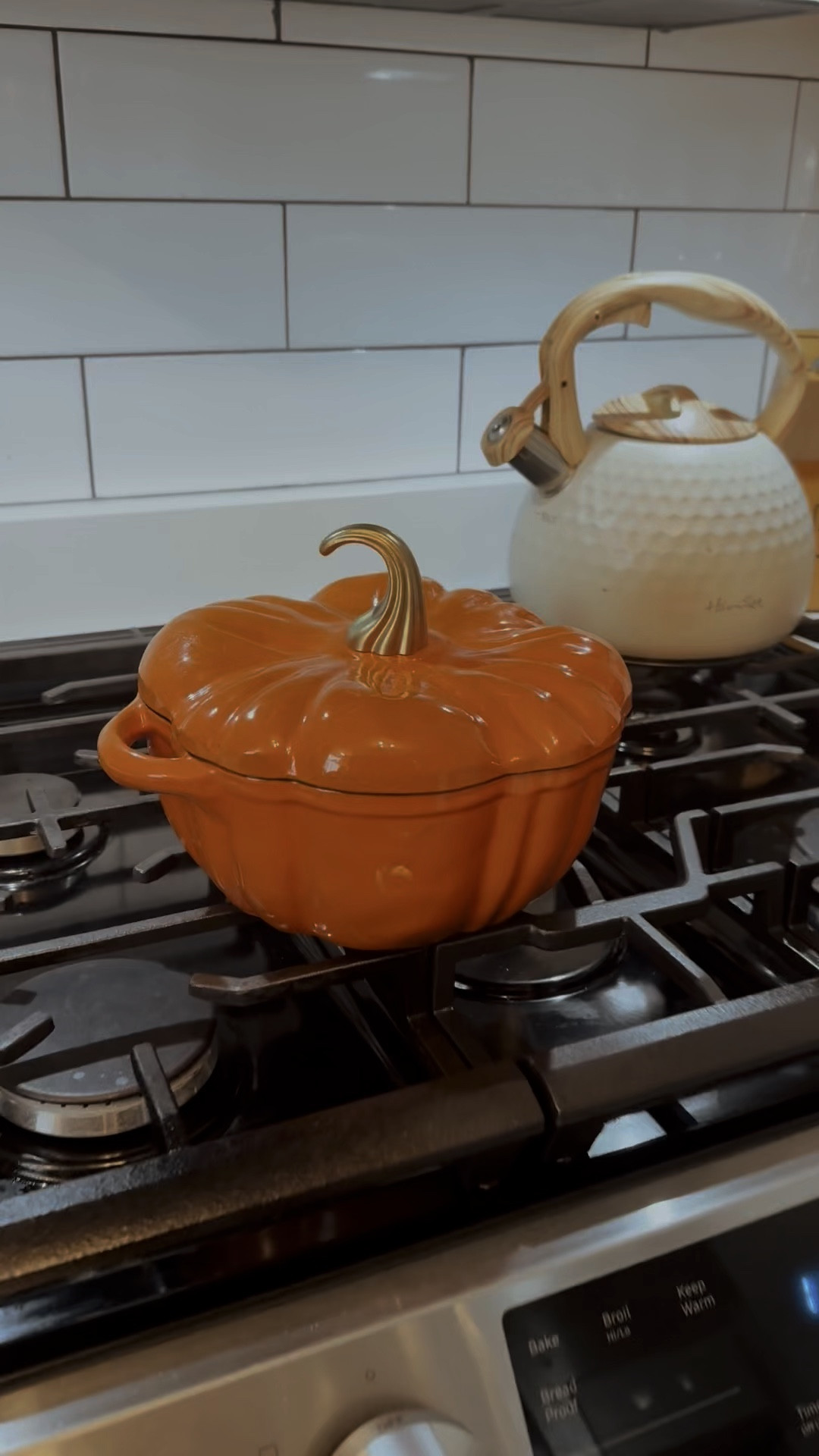 Under $35 Fall and Halloween inspired pumpkin shaped enameled cast iron Dutch oven. 

#LTKFallSale #LTKVideo #LTKSeasonal