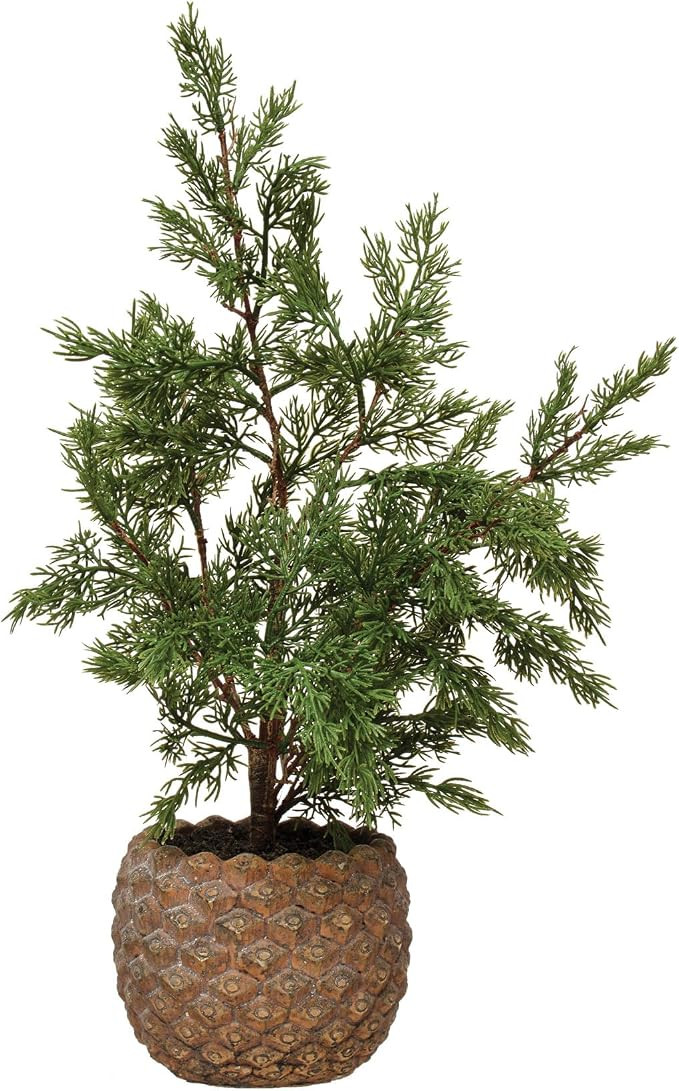 Creative Co-Op Faux Hinoki Cypress Tree in Pinecone Shaped Cement Pot, Distressed Finish | Amazon (US)
