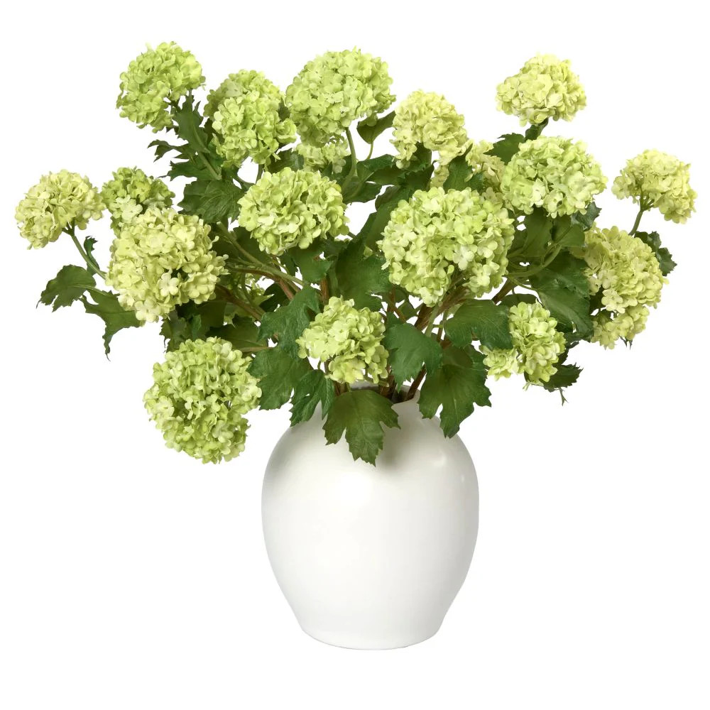 Green Snowballs in White Ceramic Vase | Diane James Home