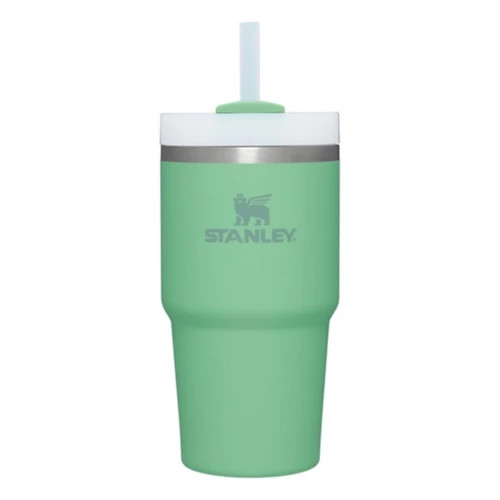 Stanley 20 oz Quencher H2.0 FlowState Tumbler | Scheels
