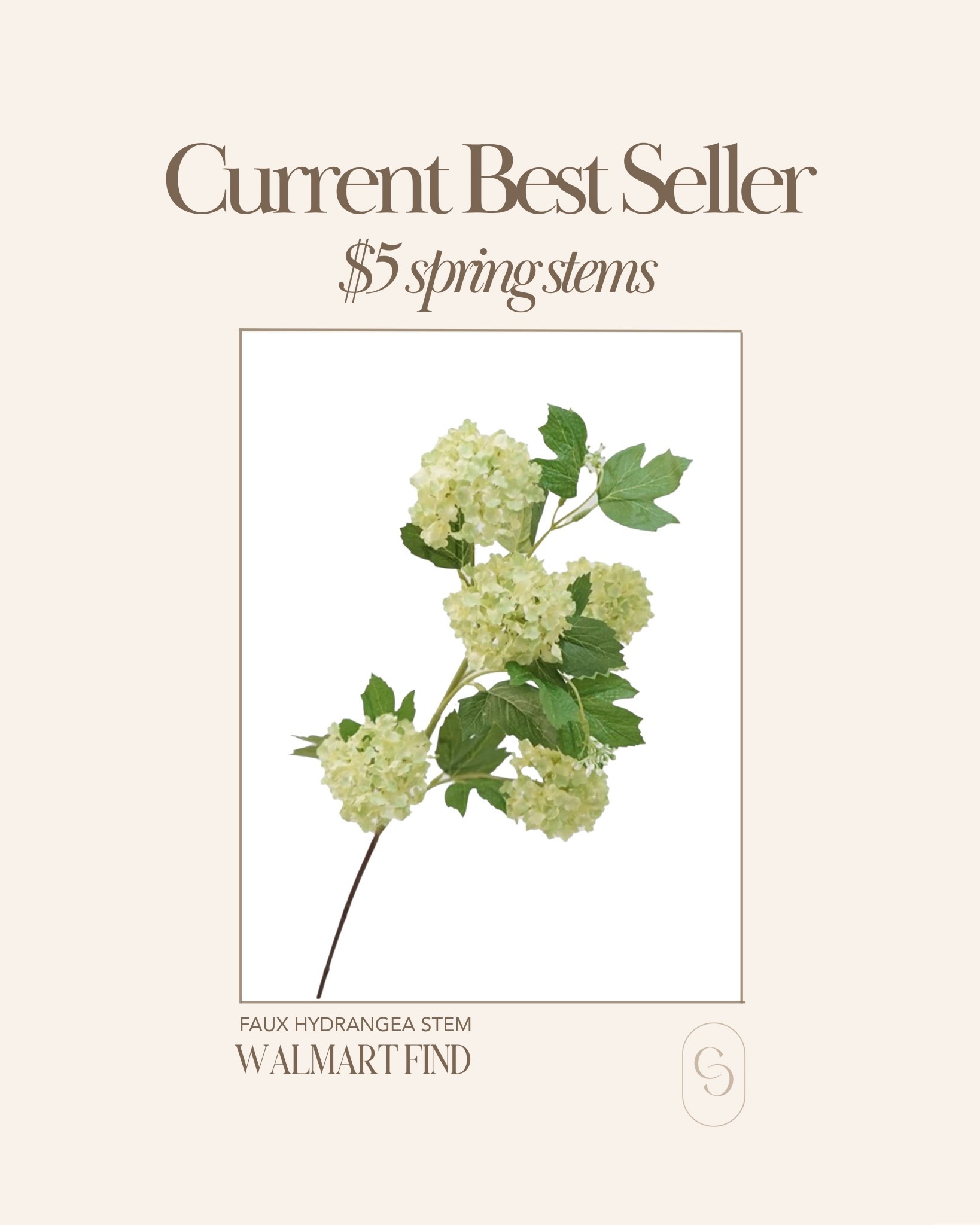 Rounding up my favorite spring stems 🫶🏻

#LTKHome #LTKSeasonal