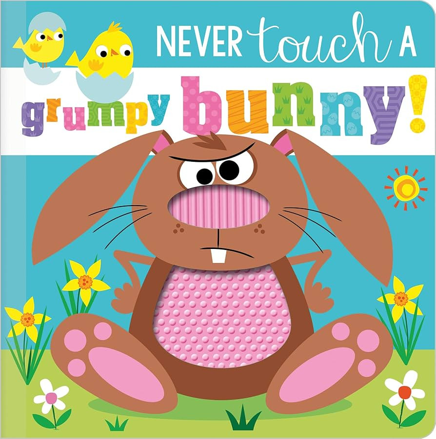 Never Touch a Grumpy Bunny! (Never Touch) | Amazon (US)