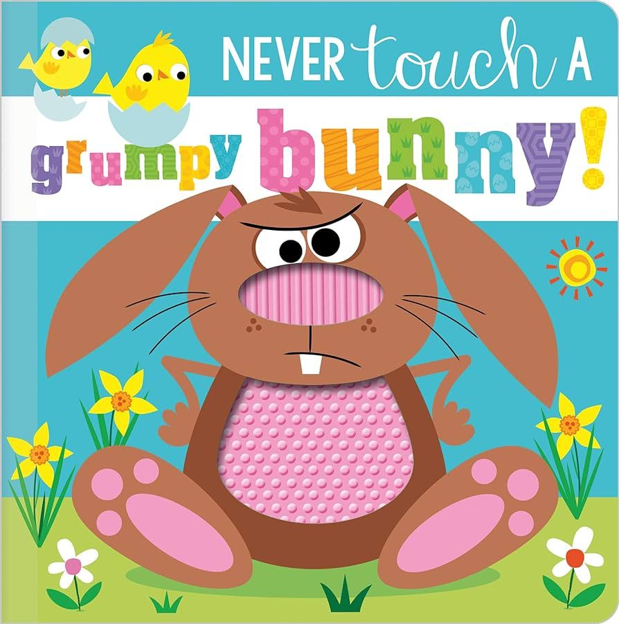 Never Touch a Grumpy Bunny! (Never Touch) | Amazon (US)