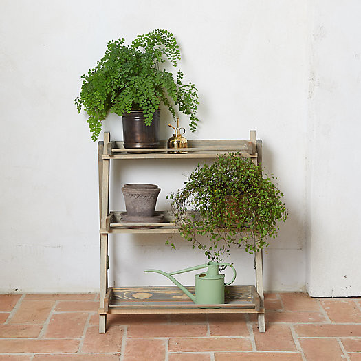 Spruce 3-Shelf Plant Stand | Terrain