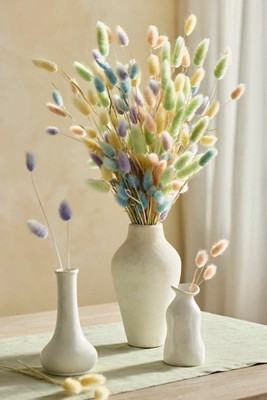 Dried Bunny Tails Bunch | Anthropologie (US)