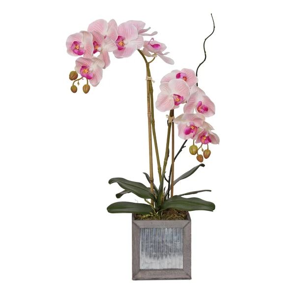 Faux Flower Arrangement Orchid in Pot | Wayfair North America
