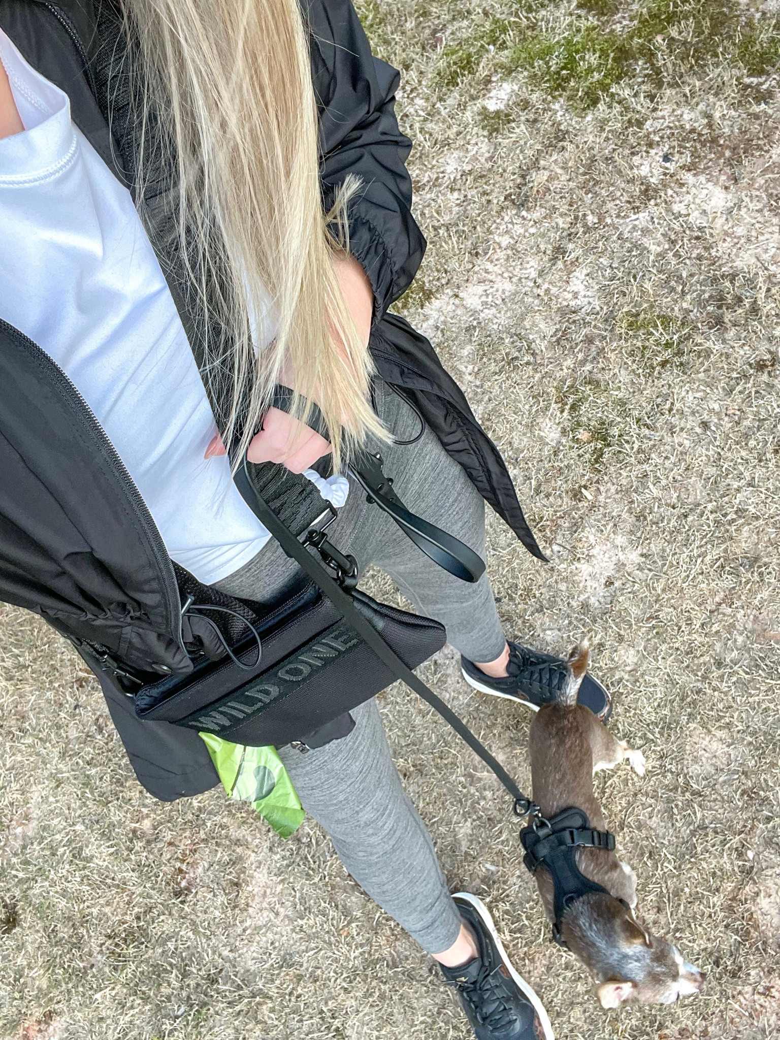 Our favorite walk set!

Dog harness, dog leash, dog waste bag, dog treat bag, Nike sneakers, windbreaker 

#LTKfamily #LTKitbag #LTKshoecrush