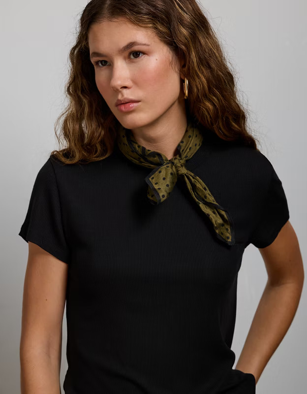 AE77 Premium Ribbed T-Shirt | American Eagle Outfitters (US & CA)