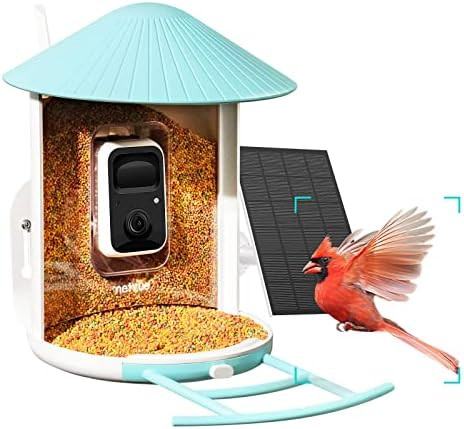 NETVUE Birdfy Lite - Smart Bird Feeder with Camera, Bird Watching Camera, Auto Capture Bird Video... | Amazon (US)
