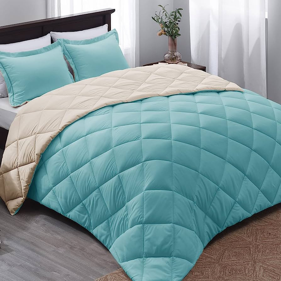 Basic Beyond Queen Comforter Set Down Alternative Aqua Blue Bed Comforter Set Queen 3 Pieces Reve... | Amazon (US)