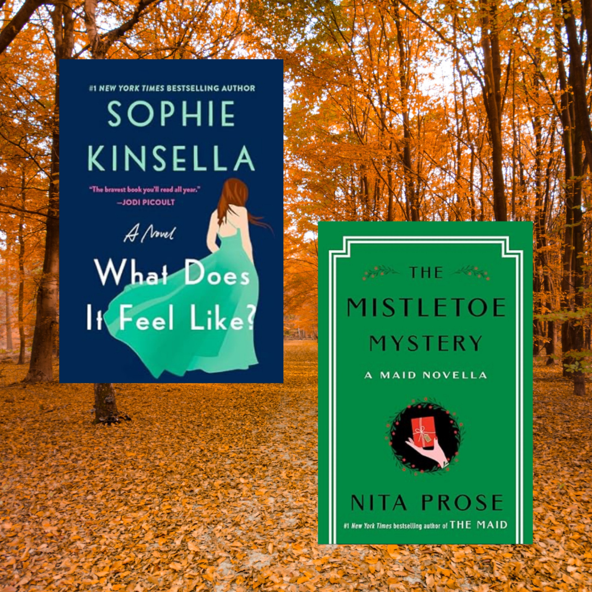 What does it feel like by Sophie kinsella ⭐️⭐️⭐️⭐️⭐️

An incredible book about bravery, strength and grief.

The mistletoe mystery by Nita prose ⭐️⭐️⭐️💫

If you have not read the Molly the maid series, most definitely pick them up! 

#LTKSeasonal #LTKFindsUnder50 #LTKHome