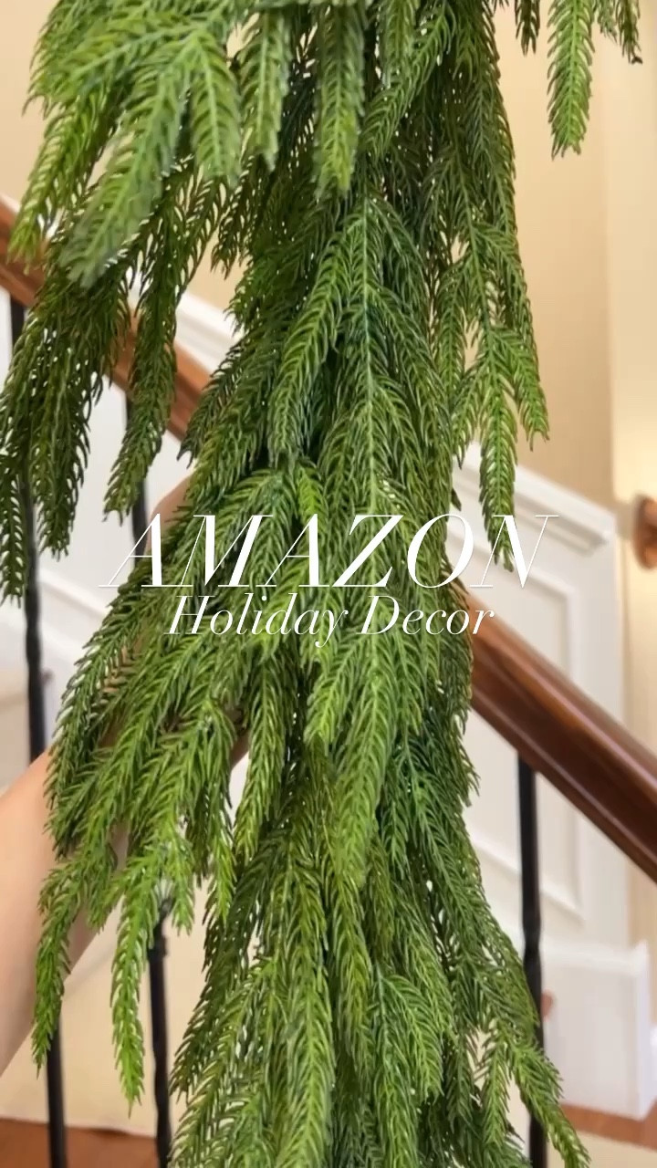 The Amazon holiday hunt is real! 🚨
From vintage bells to garland that looks so real, I found a few holiday goodies that I’m excited to share with y’all. Whether you are decorating, entertaining, hosting or just looking for some special holiday finds- I got ya covered 👏🏼

#home #holiday #holidaydecor #amazonfind #christmas #christmasdecor #amazon #norfolk #garland #bells #bell #ribbon #velvetribbon #lights #light #decor 

#LTKfindsunder50 #LTKhome #LTKHoliday