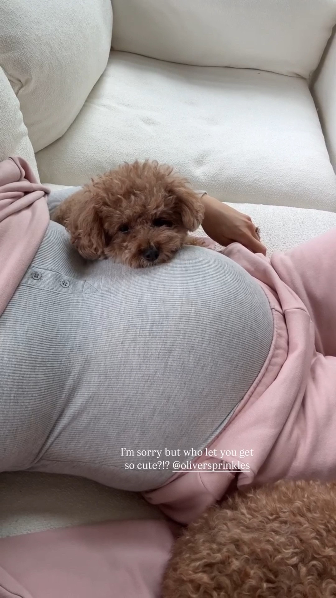 My first baby 🐾

#LTKSeasonal #LTKStyleTip