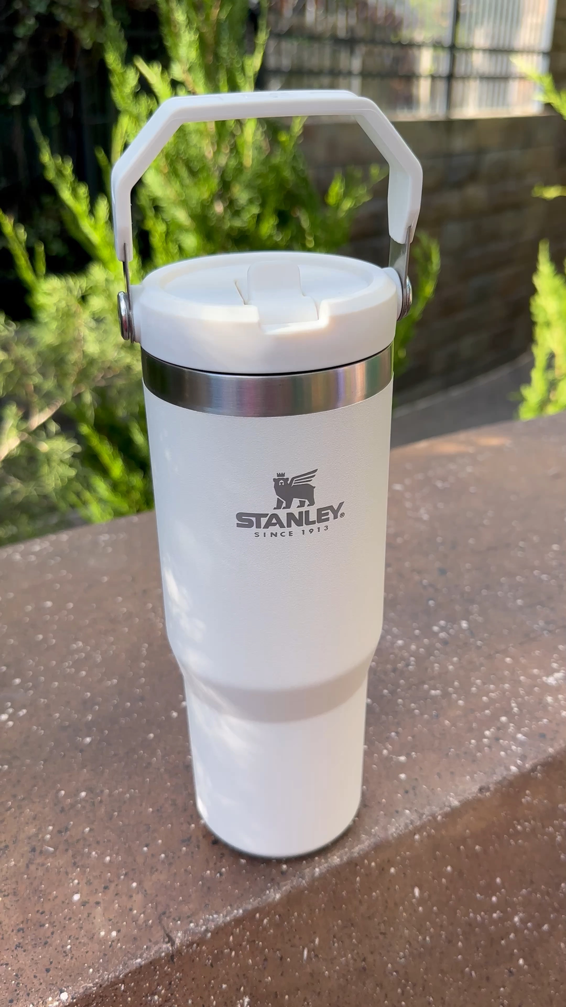 These ice flow straw flip Stanley’s were perfect in Disney! Plus they are on sale and would make a great stocking stuffer! 

#LTKunder50 #LTKGiftGuide #LTKtravel