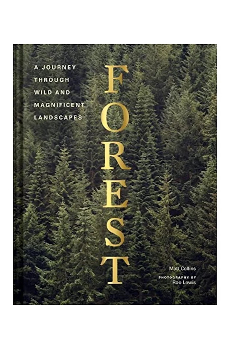 Forest | Gatehouse No.1