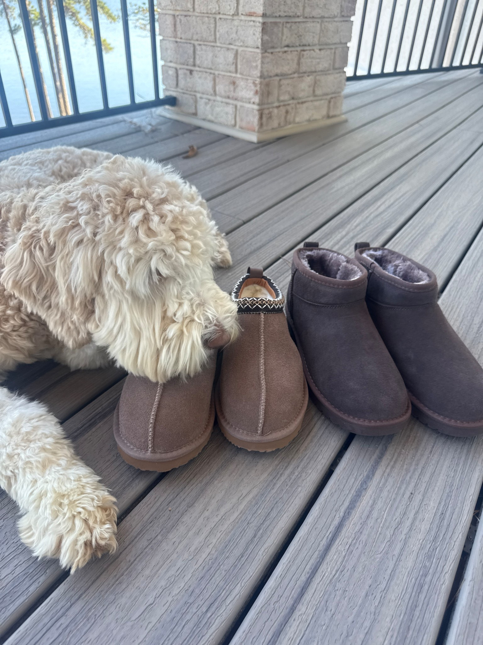 cute and cozy Amazon slippers that would also be a great gift! 

#LTKHoliday #LTKGiftGuide #LTKCyberWeek