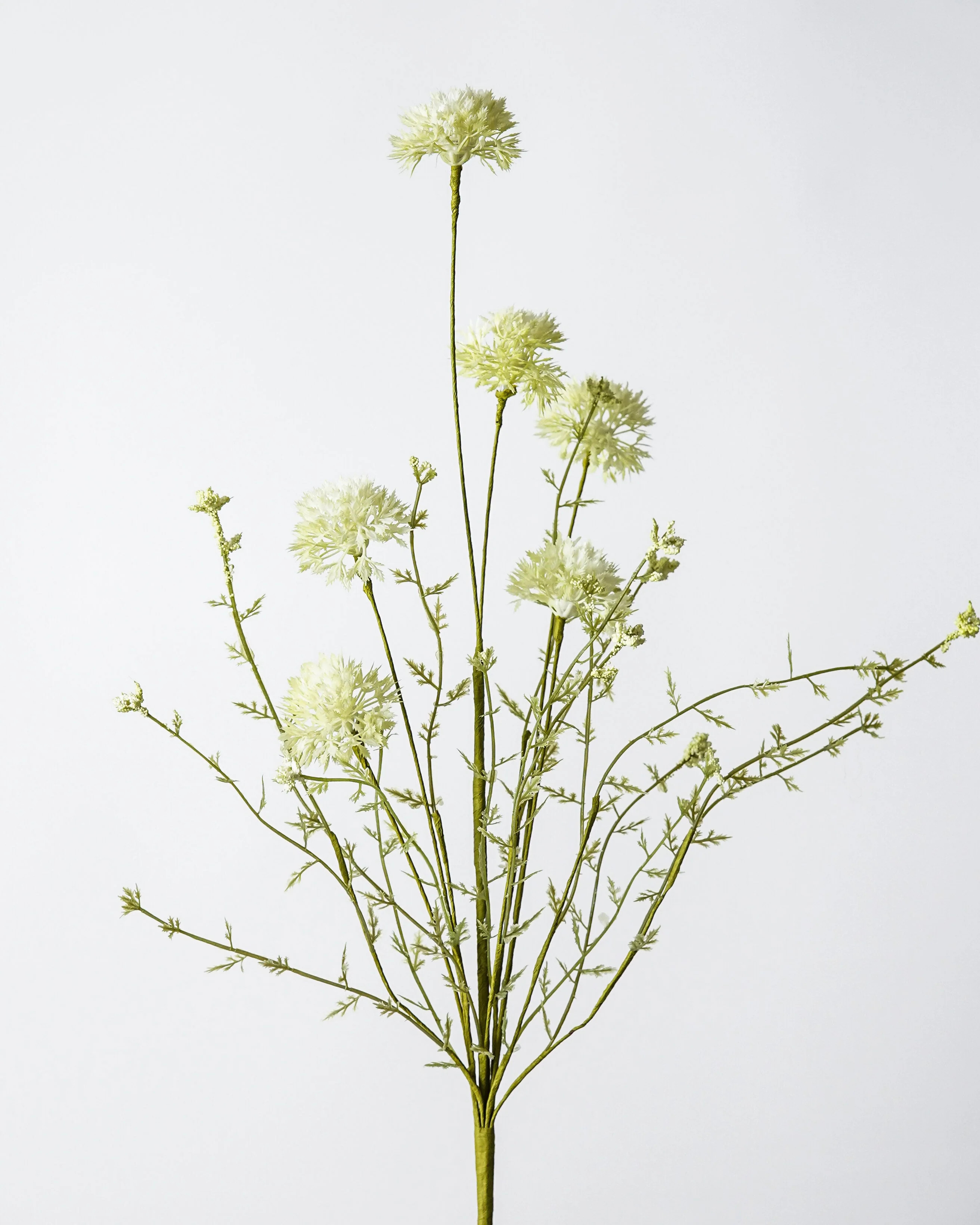 Green Dandelion Spray | MJHome