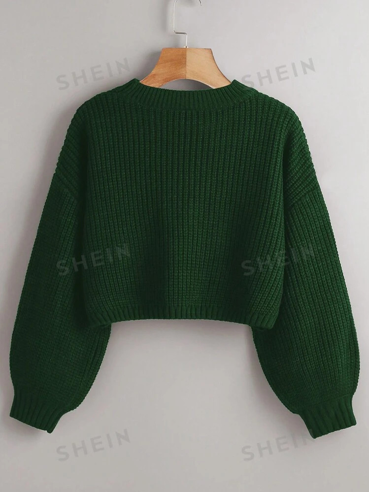 SHEIN Essnce 1pc Women Solid Color Round Neck Long Sleeve Simple Pullover Sweater, Casual Everyda... | SHEIN