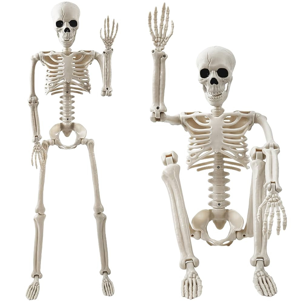 Halloween Decorations Outdoor, 2 Pack 36" Life Size Posable Human Skeleton Decor - Indoor Hallowe... | Amazon (US)