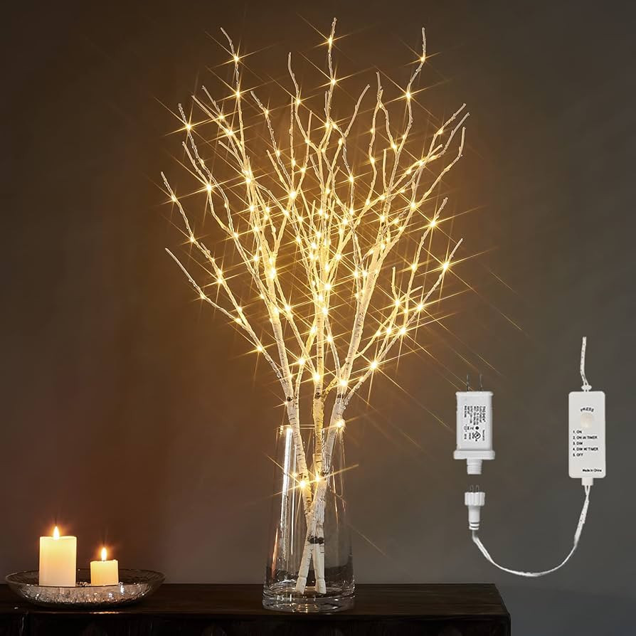 LITBLOOM Lighted White Birch Twig Branches 30IN 150 LED Plug in with Timer and Dimmer, Artificial Tr | Amazon (US)