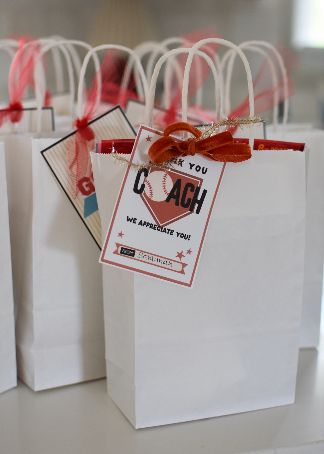 @thelettervee makes treat bags SO easy! I love how these turned out for my daughter’s baseball team. ⚾️ Use the code DUSTI10 to save!!

#LTKmomlife