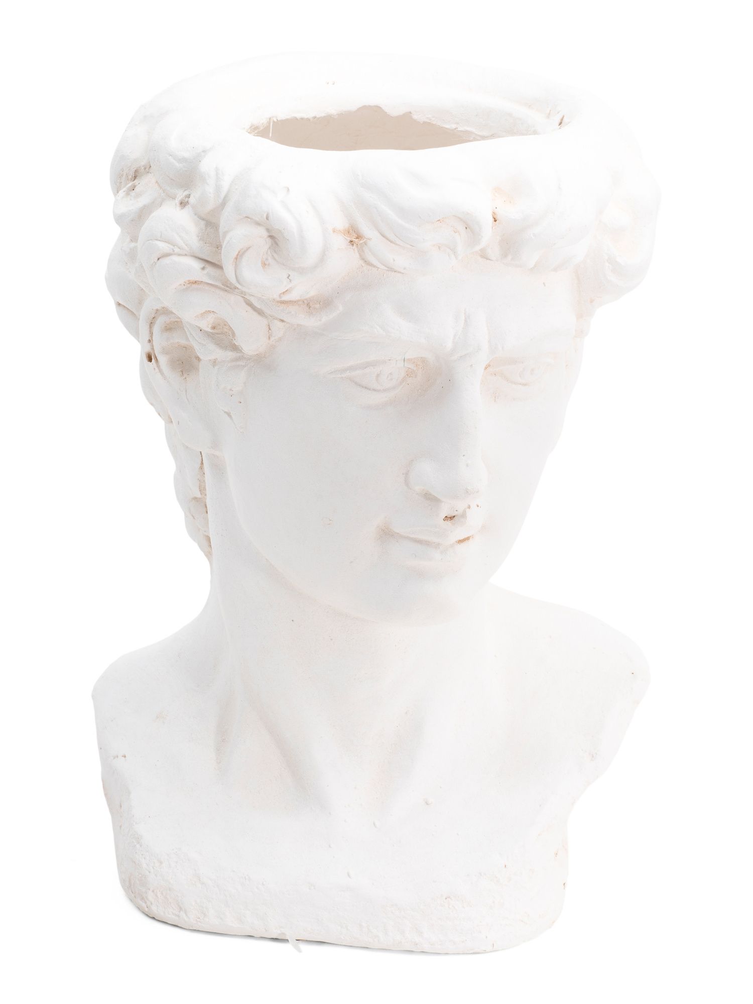 Greek God Head Planter | TJ Maxx