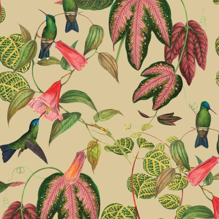 Exotic Hummingbird Wallpaper | Love vs. Design