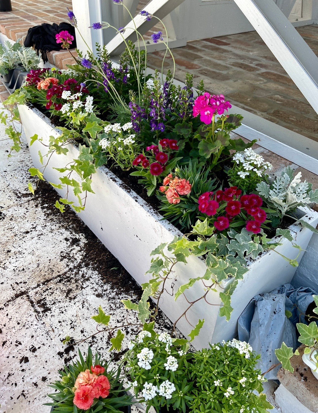 Spring! Dress up your outdoor space with modern white planters. Time to get dirty!!
#planter #pot #containergarden


#LTKHome #LTKSeasonal #LTKStyleTip
