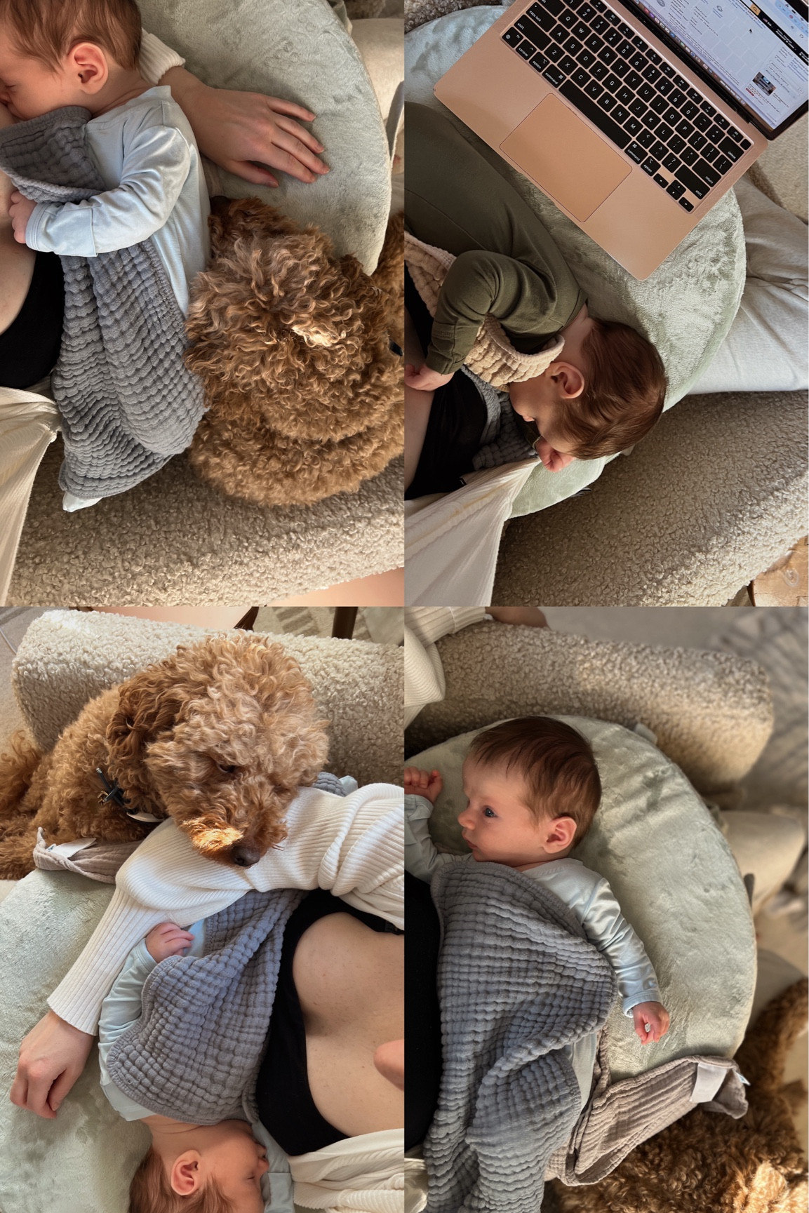 This nursing pillow is the best! 

#LTKHome #LTKBaby