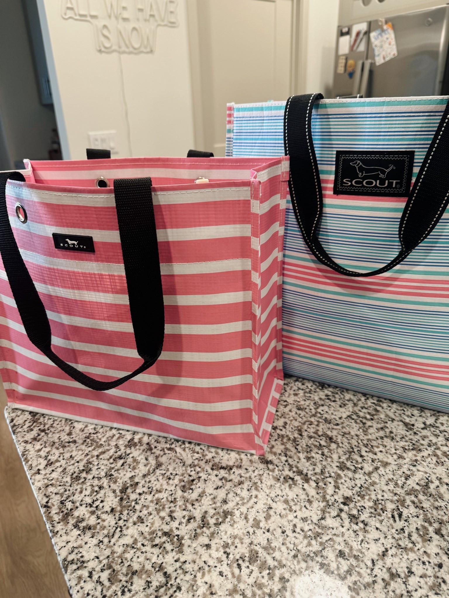 My favorite reusable bags! Big one is insulated!