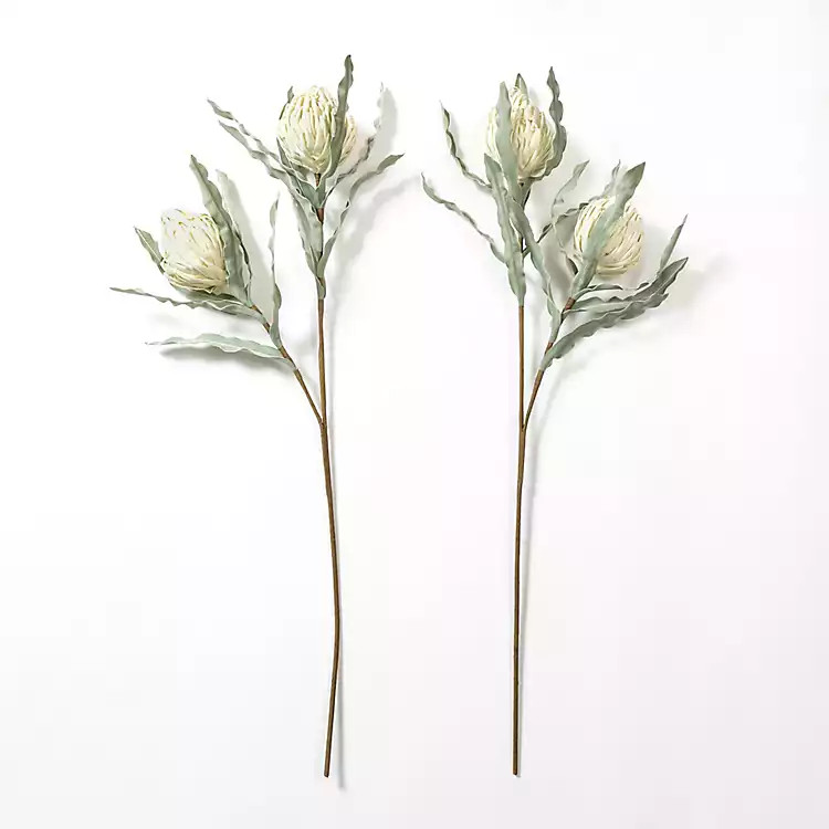 Cream Foam Protea Stem | Kirkland's Home