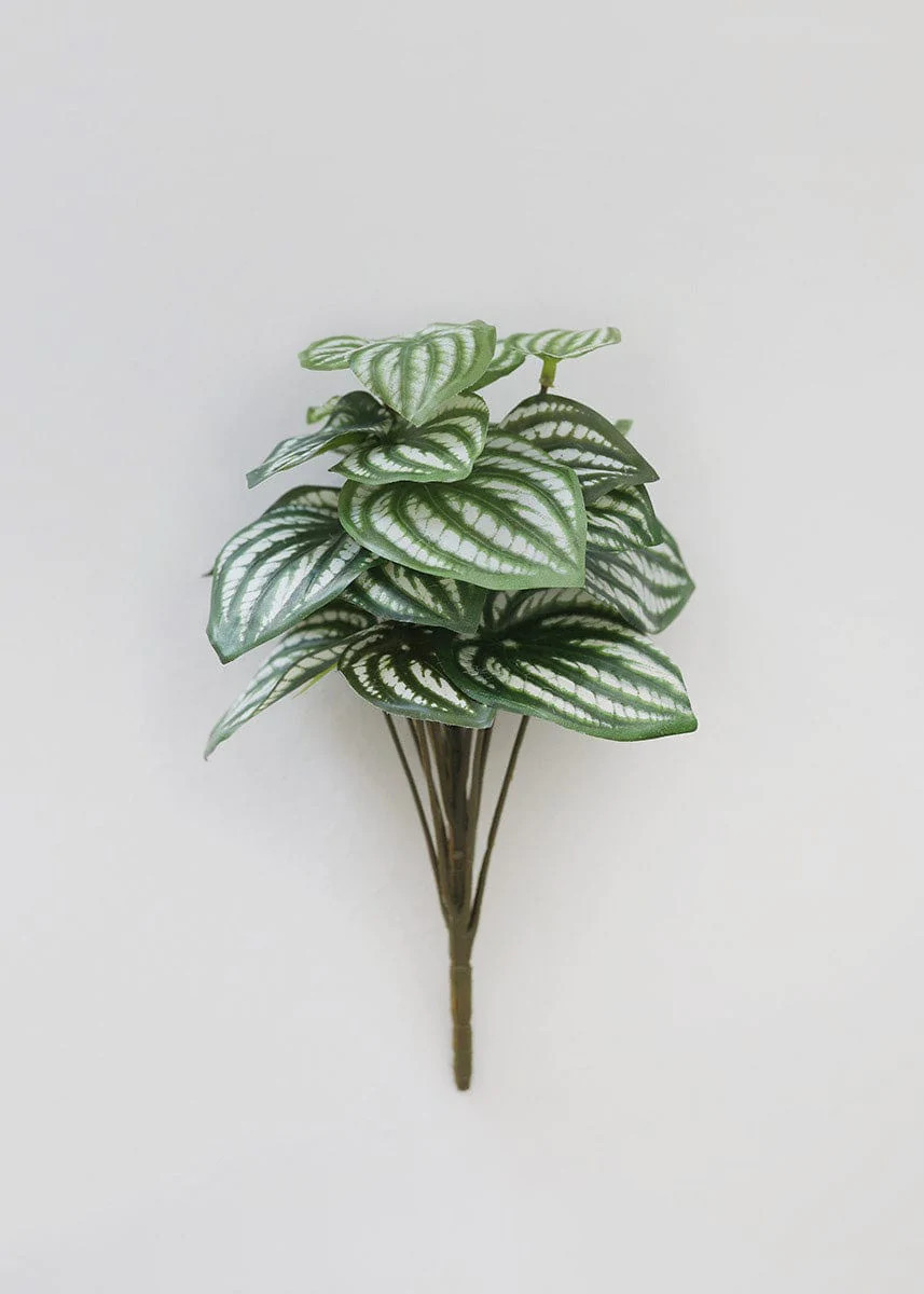 Fake Watermelon Peperomia Bush | Artificial House Plants | Afloral.com | Afloral