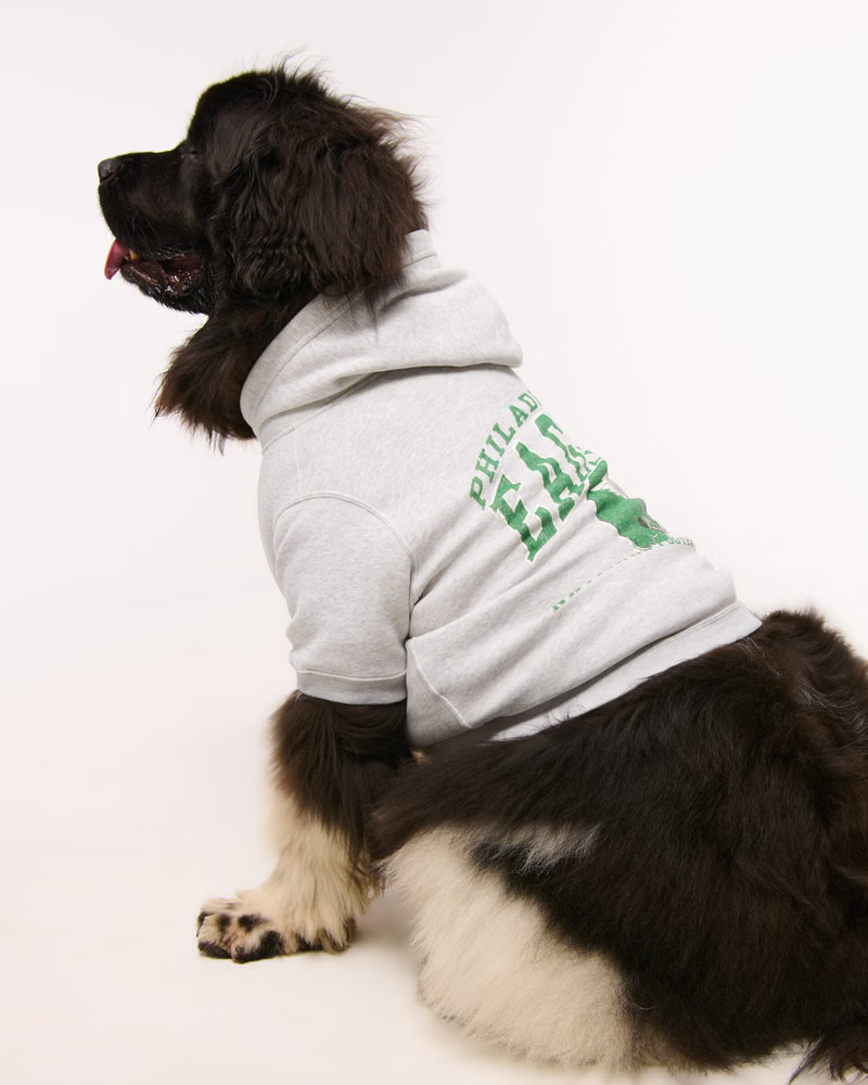 Philadelphia Eagles Pet Pupover | Abercrombie & Fitch (US)