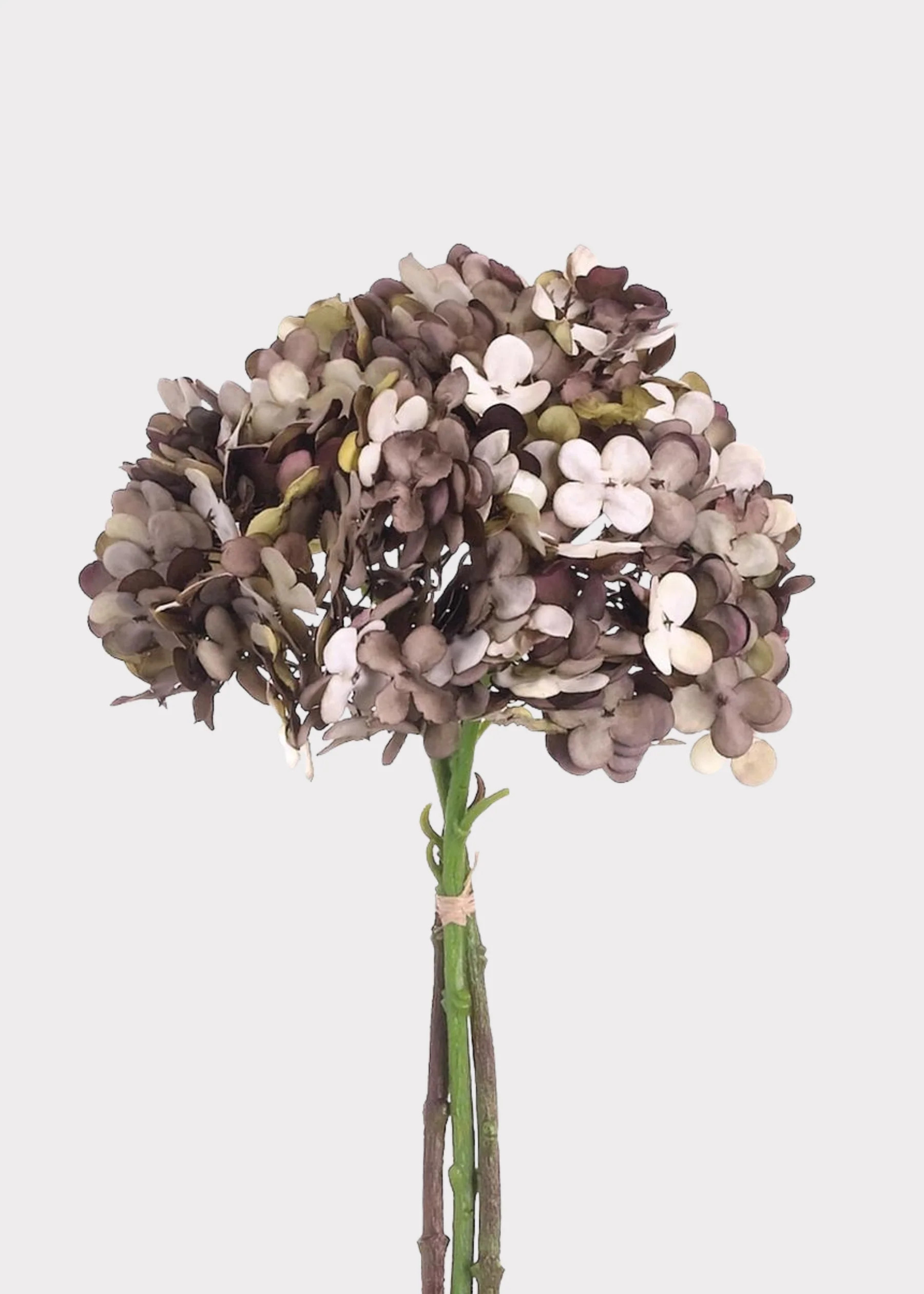 Brown Taupe Hydrangea Bundle | Artificial Fall Flowers | Afloral | Afloral