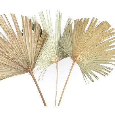 Dried Palm Leaves, Natural Wedding Home Décor, 10-16.5", Set Of 12 | Wayfair North America