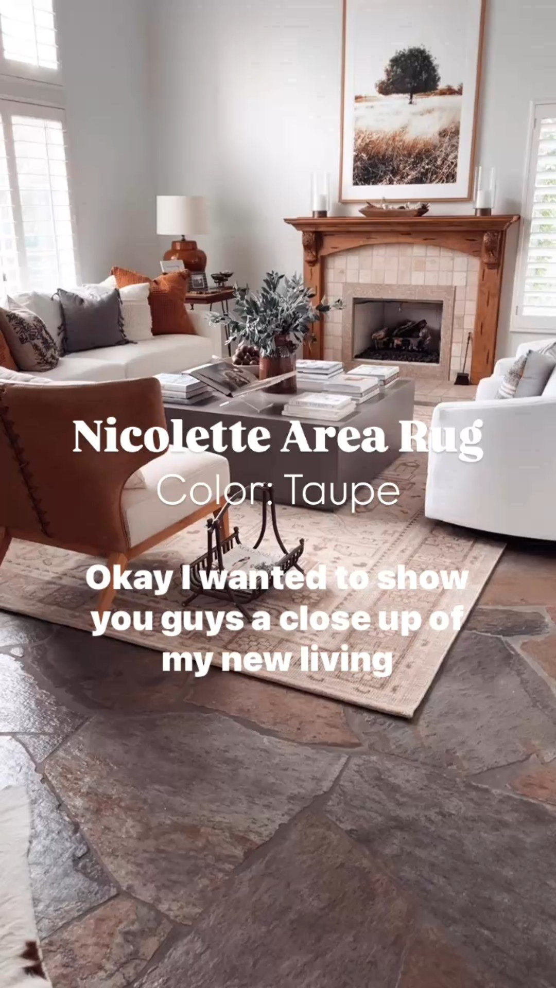 Close-up of the Nicolette area rug in color taupe from Pottery Barn. I love this neutral pattern area rug and the color is much lighter in person than the photo online. It reads more beige than brown in person. 

This is a 100% wool rug perfect for high traffic areas. 

#LTKHome #LTKStyleTip #LTKFamily