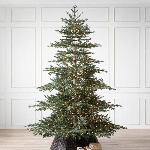 Balsam Hill Aspen Silver Fir reNEW 7.5' LED Clear+Fairy | Williams-Sonoma