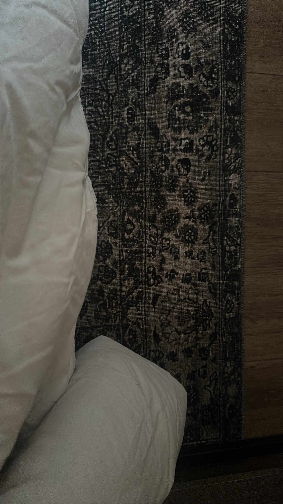 Beyond obsessed with the colors of this rug! Loloi strikes again! 

#LTKHome #LTKFamily #LTKSeasonal