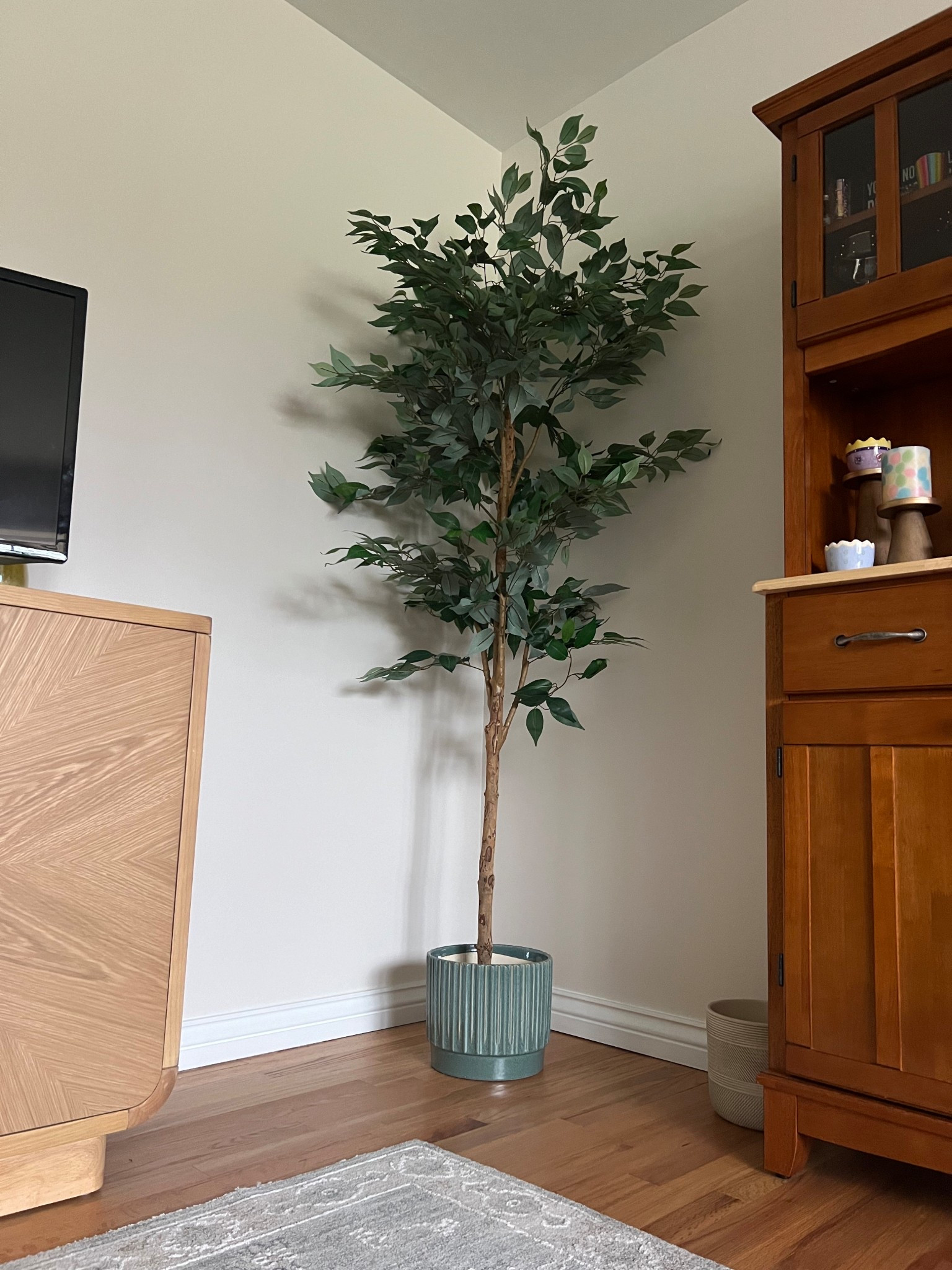 A great fake ficus tree at a great price! 

#LTKPets #LTKHome #LTKSaleAlert