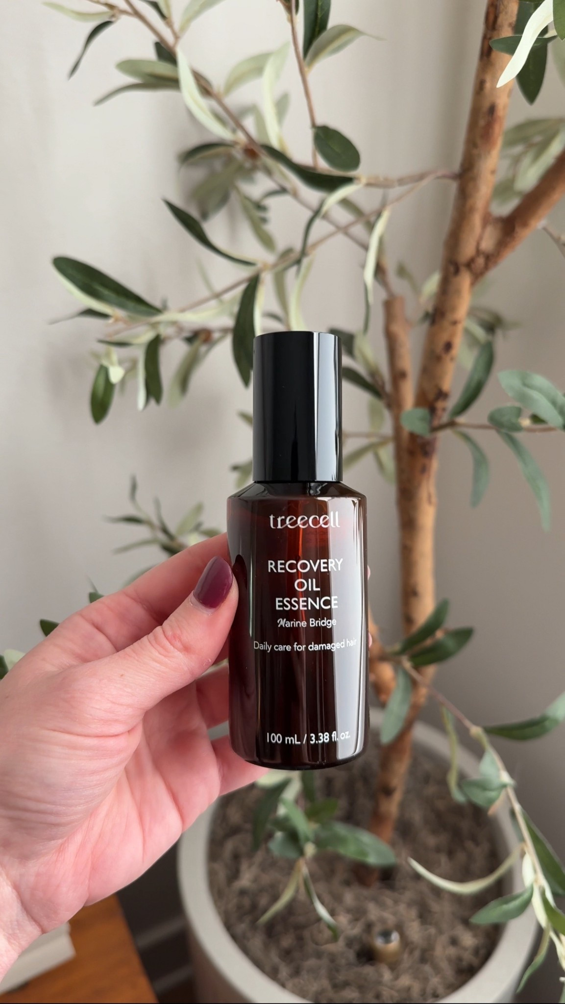 Treecell Recovery Oil Essence Hair Oil for dry hair

#LTKBeauty #LTKFindsUnder50